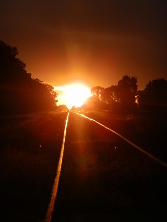 Narrabri Motel&Caravan Park Bagian luar foto
