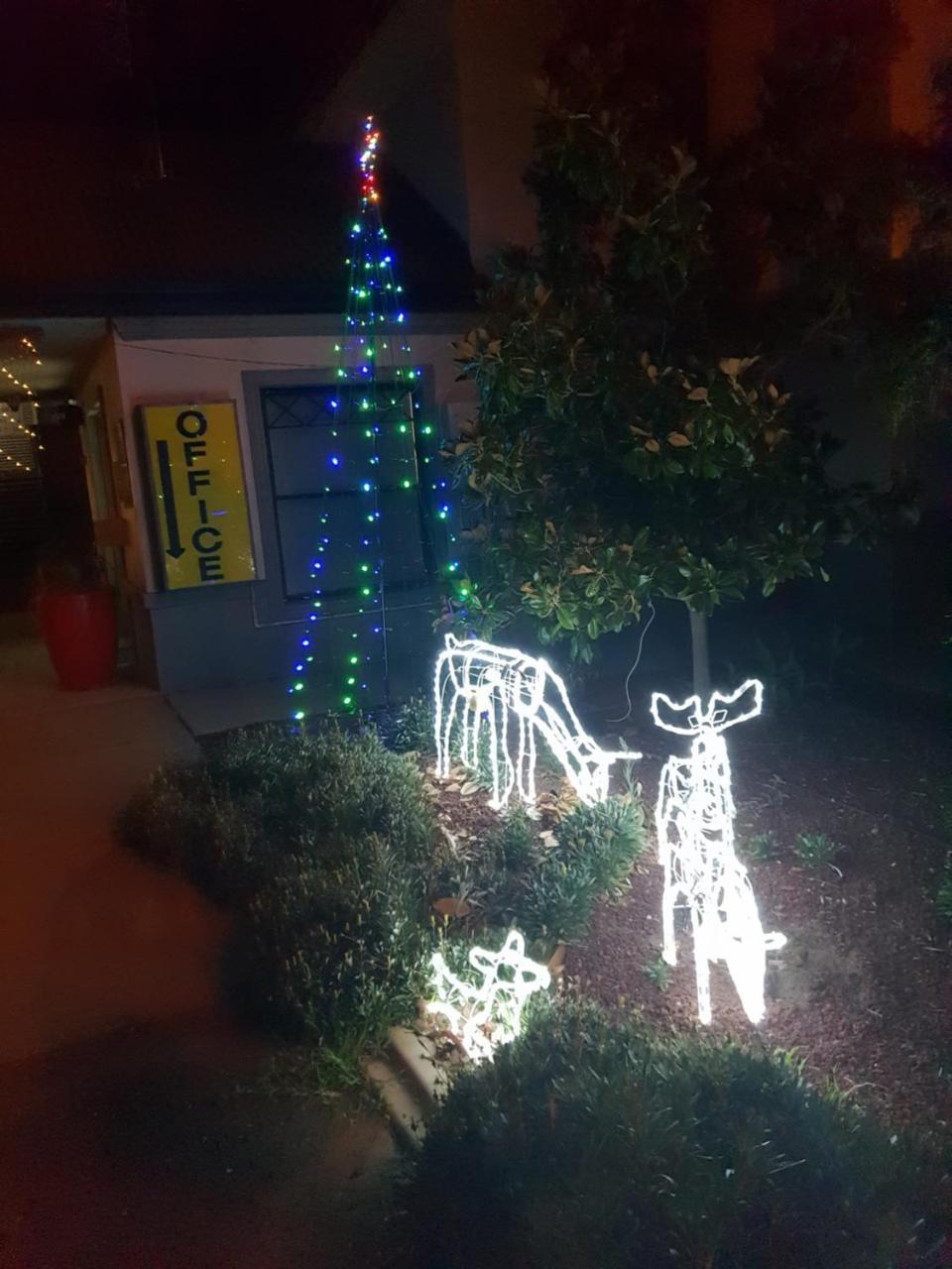 Narrabri Motel&Caravan Park Bagian luar foto